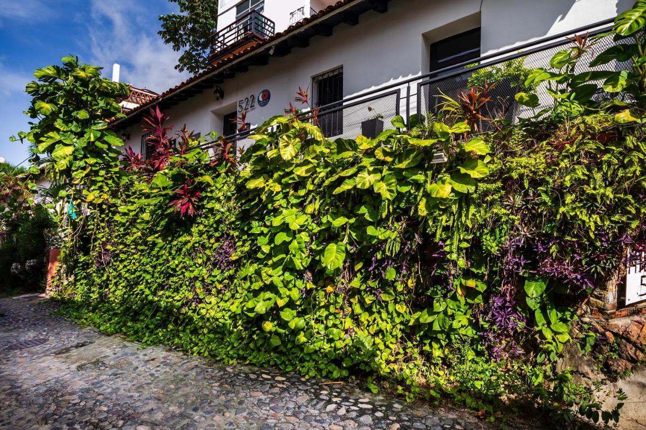 Hotel 522, Puerto Vallarta Exteriör bild